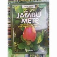 Image of JAMBU METE