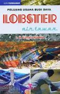 PELUANG USAHA BUDI DAYA LOBSTER