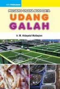 PELUANG USAHA BUDIDAYA UDANG GALAH