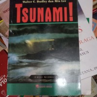 TSUNAMI!